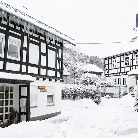 Ferienwohnung Willingen