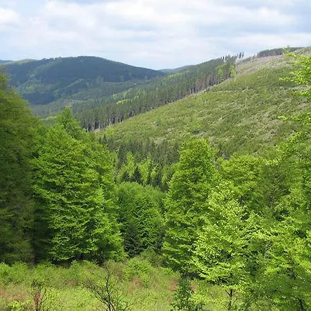 Ferienwohnung Willingen