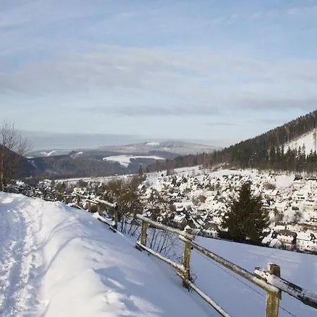 Ferienwohnung Willingen