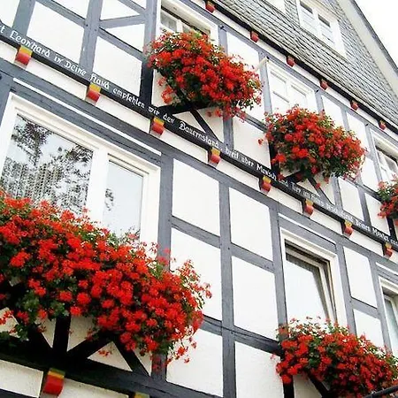 Appartamento Ferienwohnung Willingen